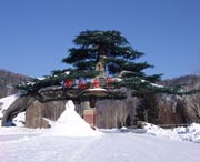 牡丹天气预报7天