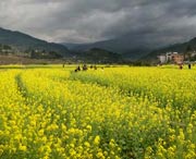 闽侯天气预报15天
